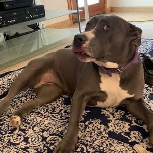 Meet your Posher, Rosabela